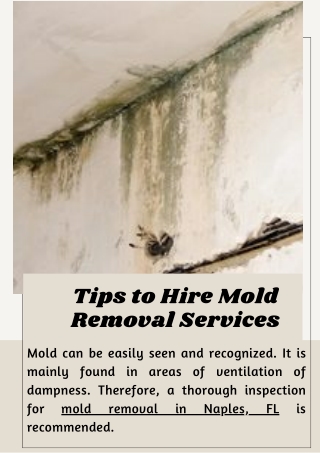 Tips to Hire Mold Removal Services!