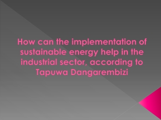 How can the implementation of sustainable energy help in the industrial sector, according to Tapuwa Dangarembizi