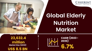 Elderly Nutrition Market