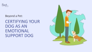 Steps to Certify Your Dog as an Emotional Support Dog