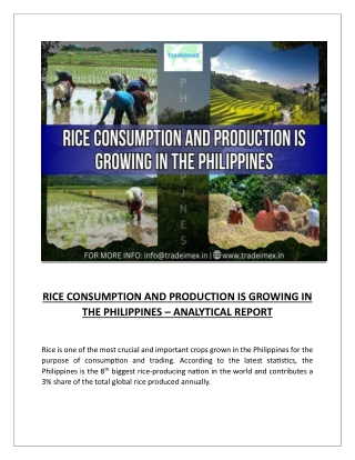 RICE CONSUMPTION AND PRODUCTION IS GROWING IN THE PHILIPPINES