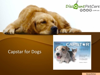 Capstar for Dogs | Capstar Flea Tablets For Dogs Online | Cheap Capstar