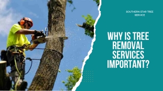 Why is tree removal services important?
