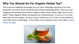 Why You Should Go For Organic Herbal Tea_