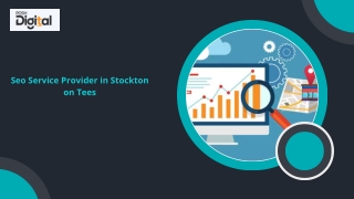 Seo Service Provider in Stockton on Tees