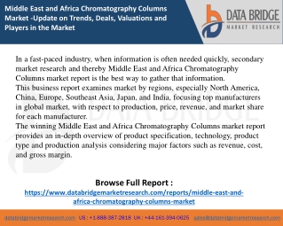 Middle East and Africa Chromatography Columns Market