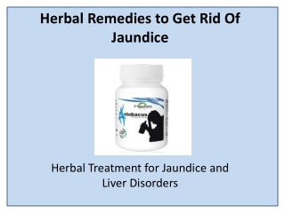Herbal Treatment for Jaundice and Liver Disorders