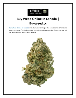 Buy Weed Online In Canada  Buyweed.cc