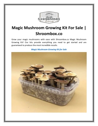 Magic Mushroom Growing Kit For Sale  Shroombox.co