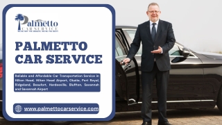 Corporate Travel Service – Palmetto Car Service