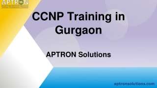 CCNP Training in Gurgaon