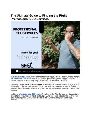 Professional SEO Services