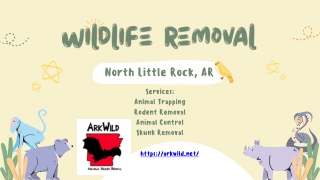 Wildlife Removal North Little Rock, AR