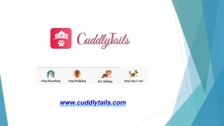 Professional Dog Walking Services in Glendale, CA | CuddlyTails - Book Today!