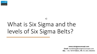 What is Six Sigma and the levels of Six Sigma Belts