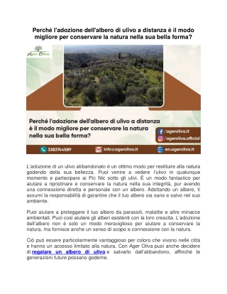 Perché l’adozione dell’albero di ulivo a distanza è il modo migliore per conservare la natura nella sua bella forma