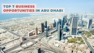 Top 7 Business Opportunities in Abu Dhabi