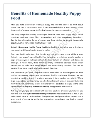 Benefits of Homemade Healthy Puppy Food