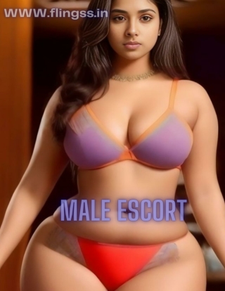Experience the new part-time job as male escort jaipur