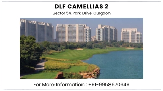 DLF Camellias 2 Gurgaon Site Map, DLF Camellias 2 Gurgaon Brochure, 9958670649 D