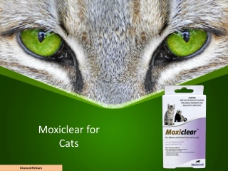 Buy Moxiclear for Cats Online at lowest Price in Australia.