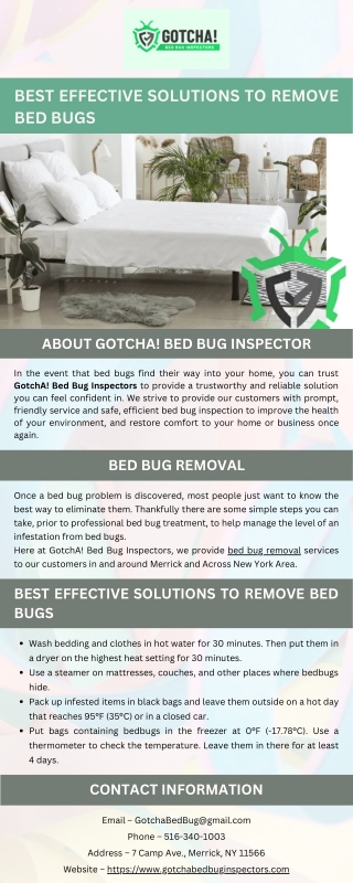 Best Effective Solutions to Remove Bed Bugs