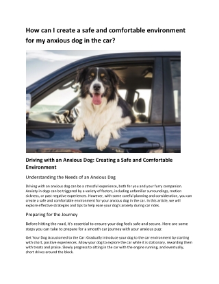 How can I create a safe and comfortable environment for my anxious dog in the ca