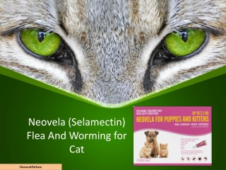 Buy Neovela (Selamectin) Flea And Worming for Cats Online at DiscountPetCare