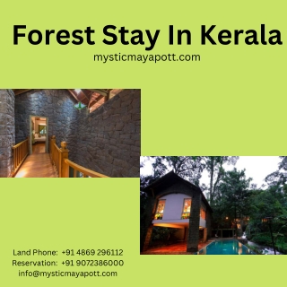 Forest Stay In Kerala