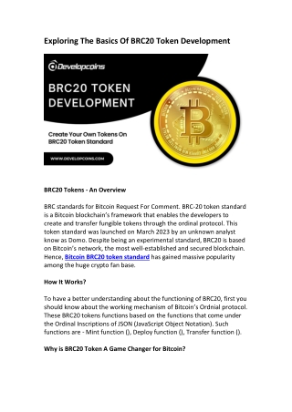 BRC20 Token Development