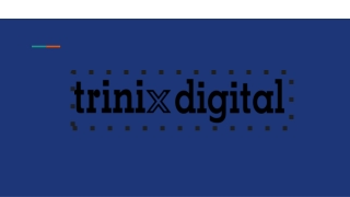 Get SEO Services in Calicut - TRINIX DIGITAL