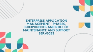Enterprise Application Management - Phases, Components, and Role of Maintenance and Support Services