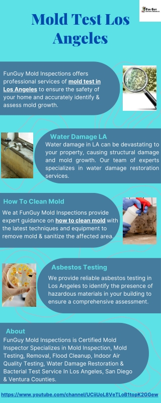 Mold Test Los Angeles