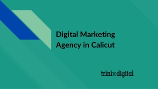 Best Digital Marketing Agency in Calicut - Kozhikode