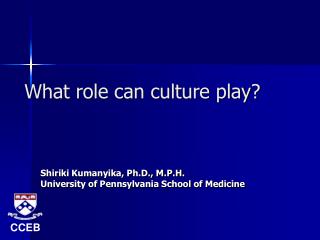 What role can culture play?