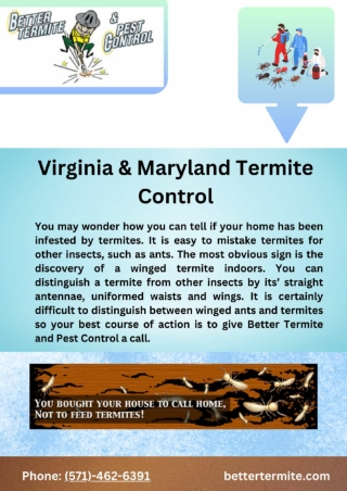 Virginia & Maryland Termite Control