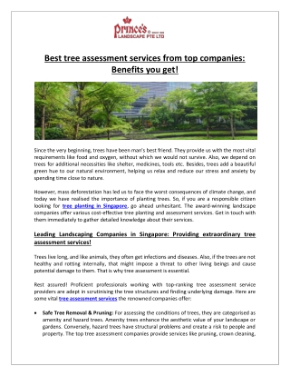 Prince’s Landscape Pte Ltd- Best tree assessment services from top companies Benefits you get!