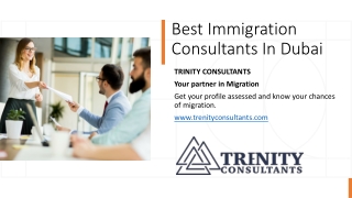 Best Immigration Consultants In Dubai