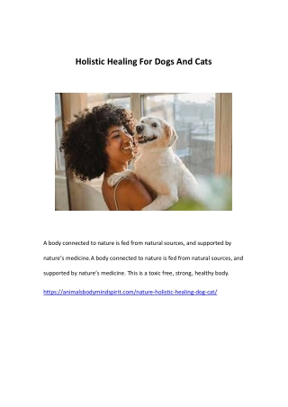 Holistic Healing For Dogs And Cats