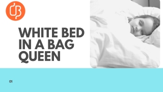 Latest Collection of White Bed in a Bag