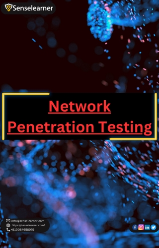 Network Penetration Testing