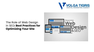 Role of Web Design in SEO: Best Practices for Optimizing Your Site |SEO Agency