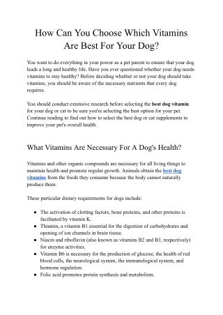 How Can You Choose Which Vitamins Are Best For Your Dog?