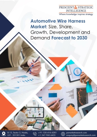 Automotive Wire Harness Market Share and Growth