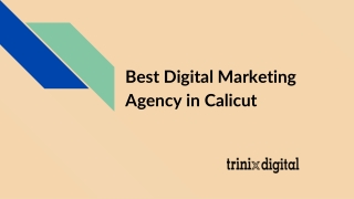 Top Digital Marketing Agencies in Calicut