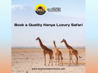 Book a Quality Kenya Luxury Safari