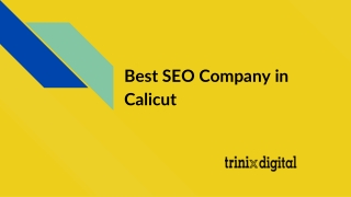 Best SEO Company in Calicut | SEO Services in Calicut