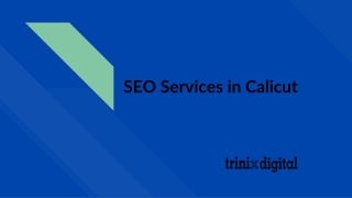 SEO Services in Calicut - SEO Companies