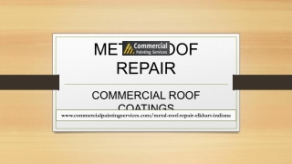 Commercial Painting Contractor Metal Roof Repair Elkhart Indiana