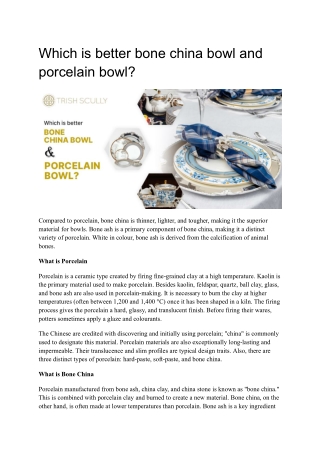 Which is better bone china bowl and porcelain bowl